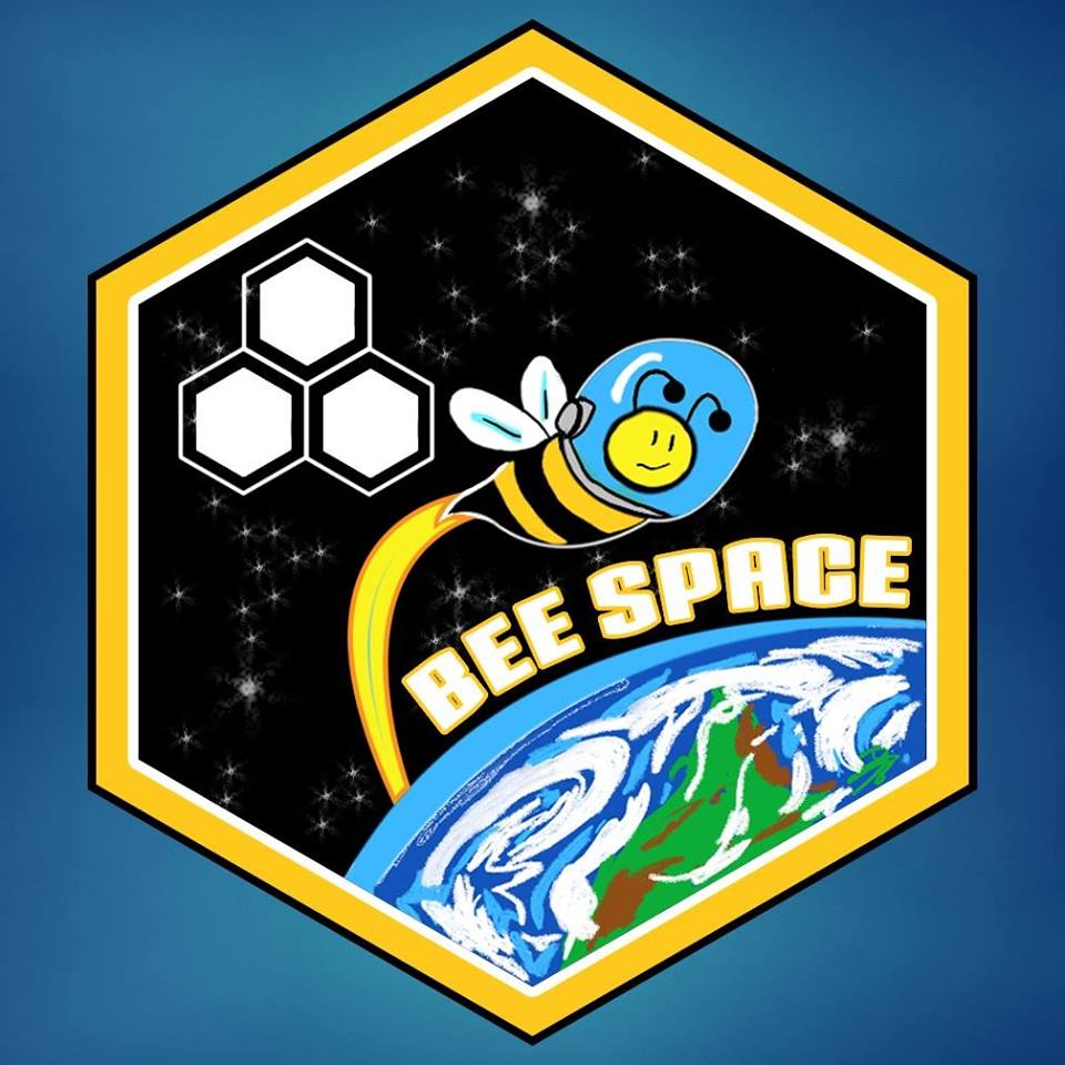 logoBeeSpace
